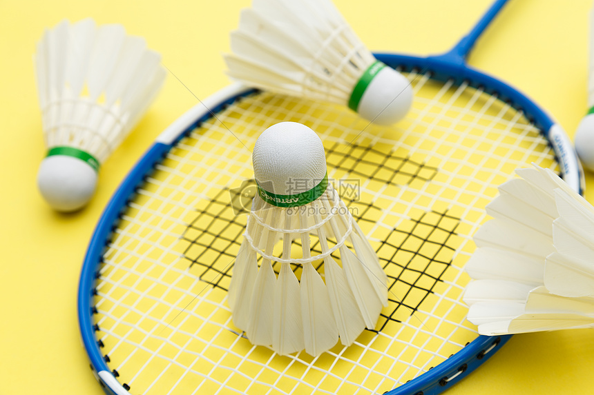 本文将深入 本文将深入